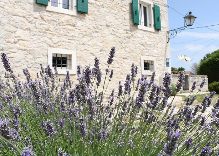 Boutique Castello Gulich